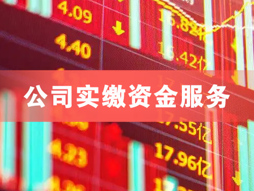 高密公司实缴资金服务